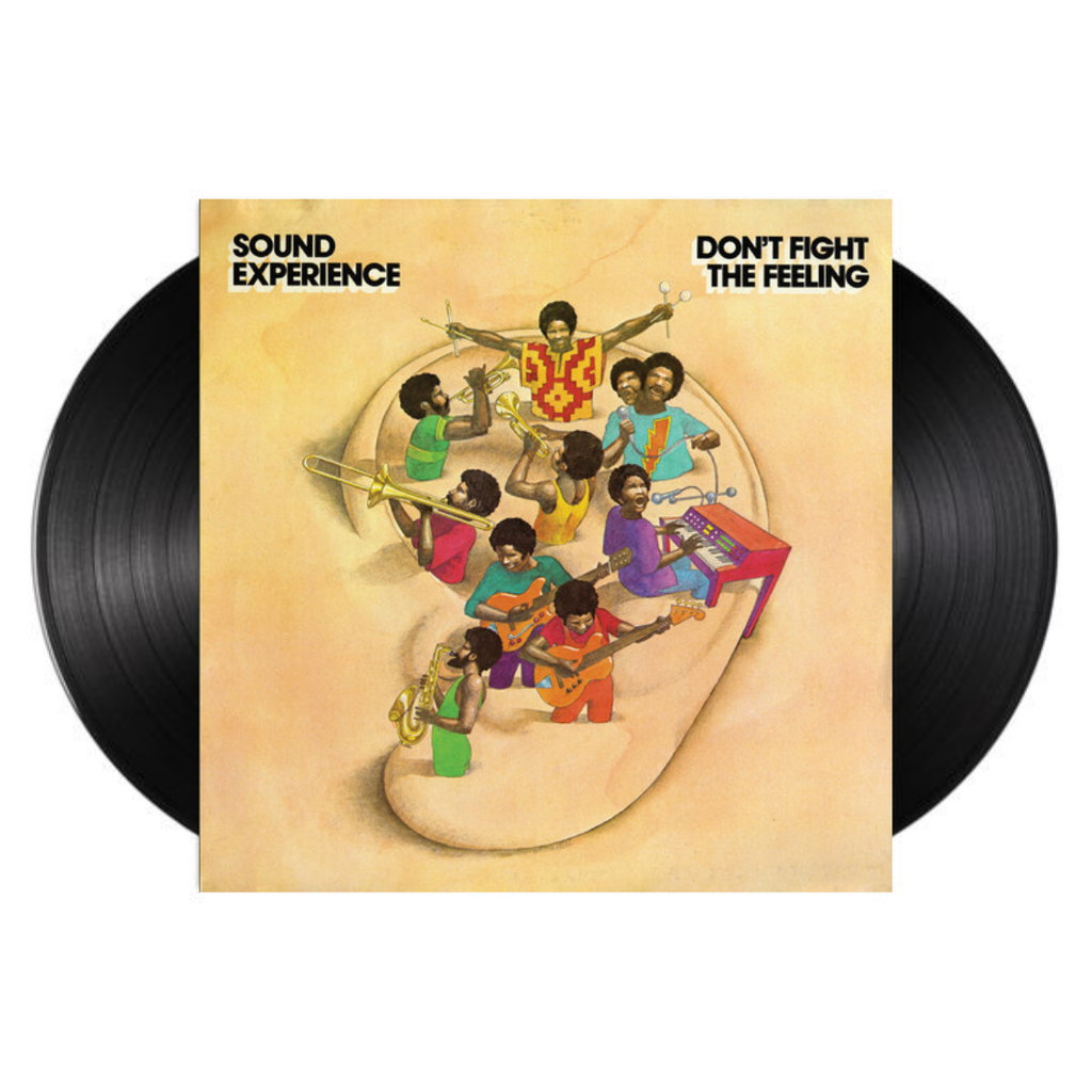 Don't Fight The Feeling (2xLP)