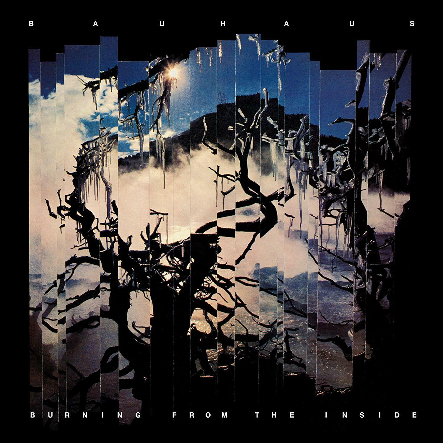 Bauhaus BEST OF CRACKLE 16 Essential Songs REMASTERED New Sealed Black Vinyl 2LP