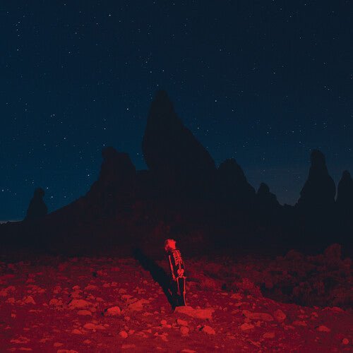 Phoebe Bridgers - Punisher (New Vinyl LP)